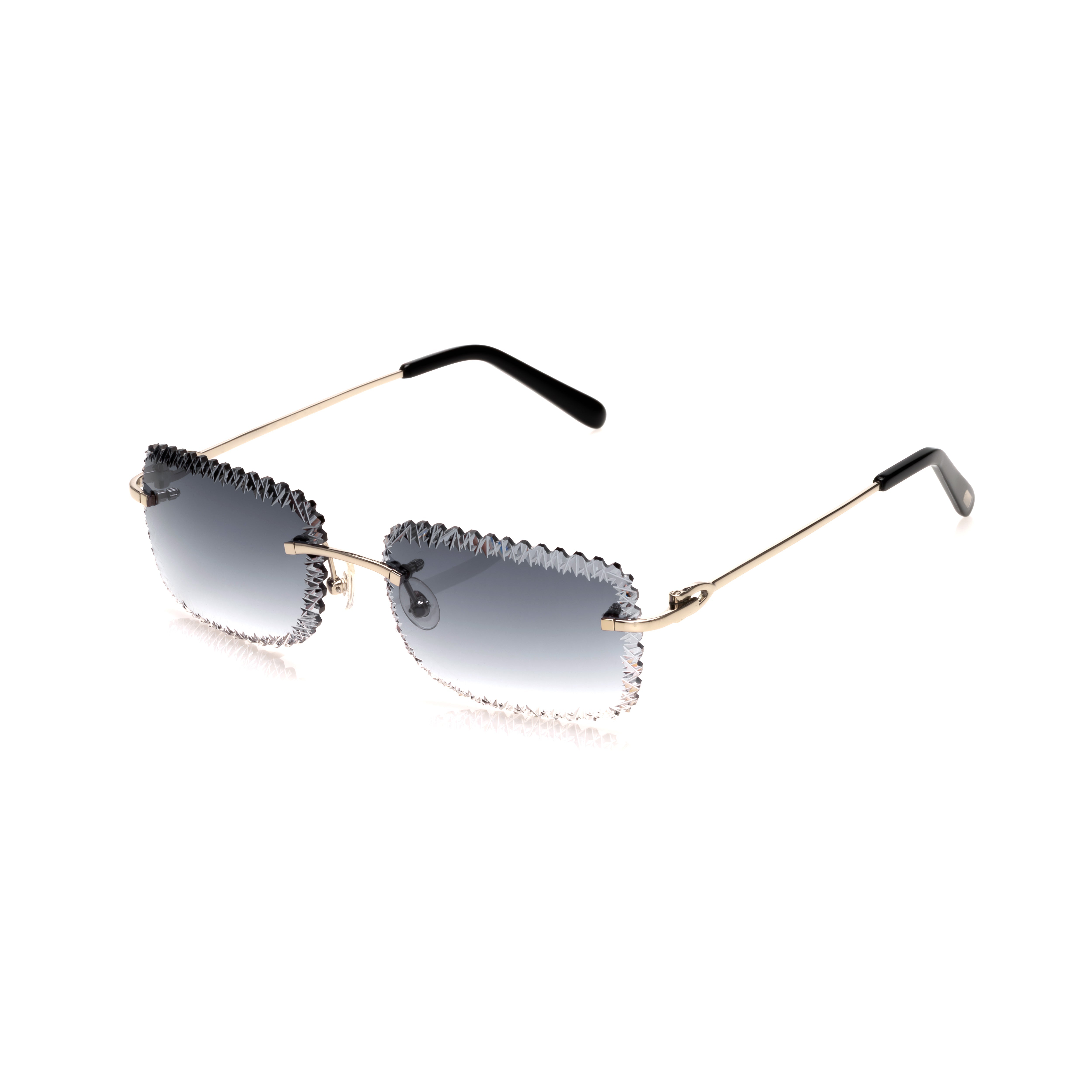 Vision Optik