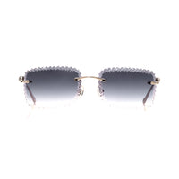 Vision Optik