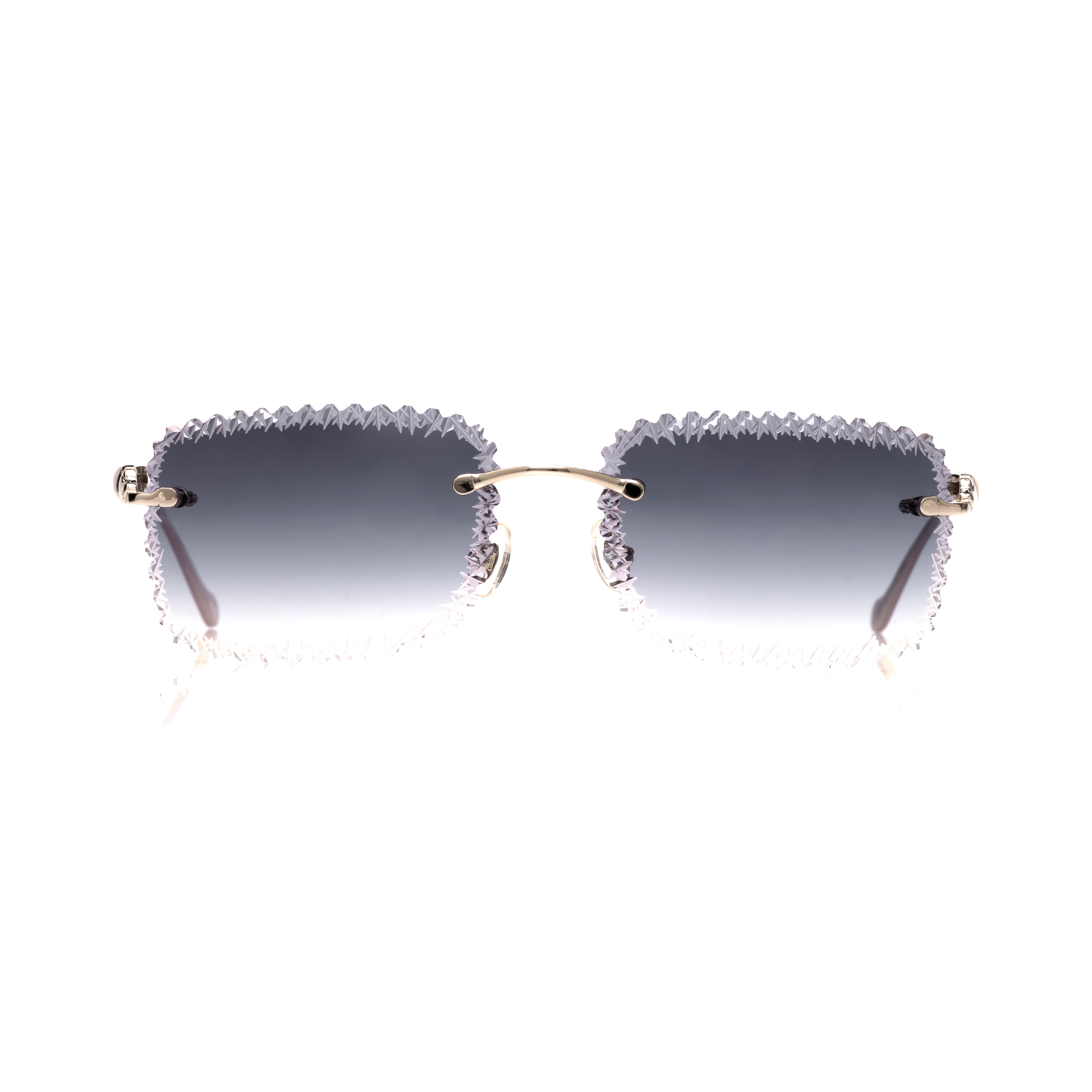 Vision Optik