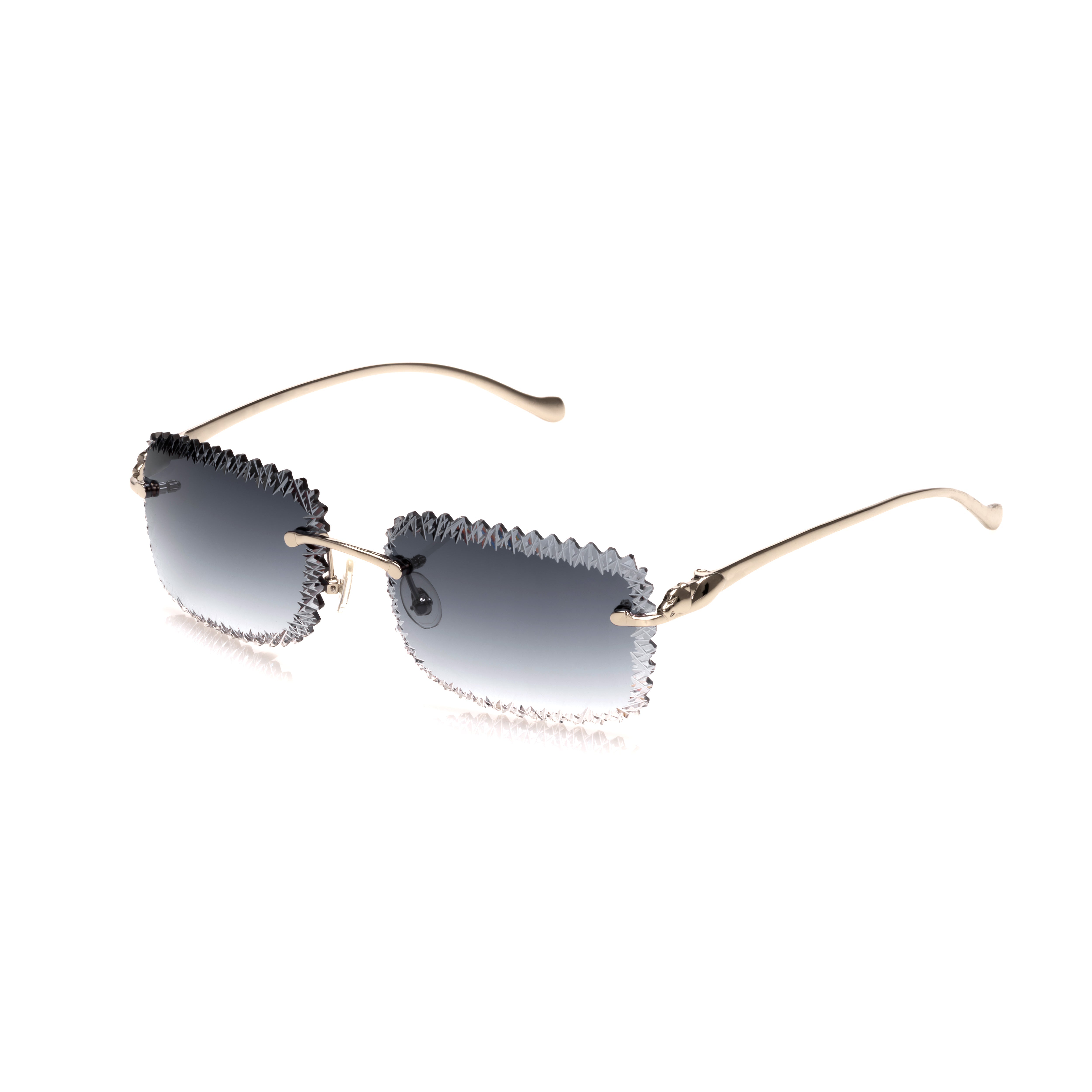 Vision Optik