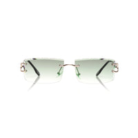Vision Optik