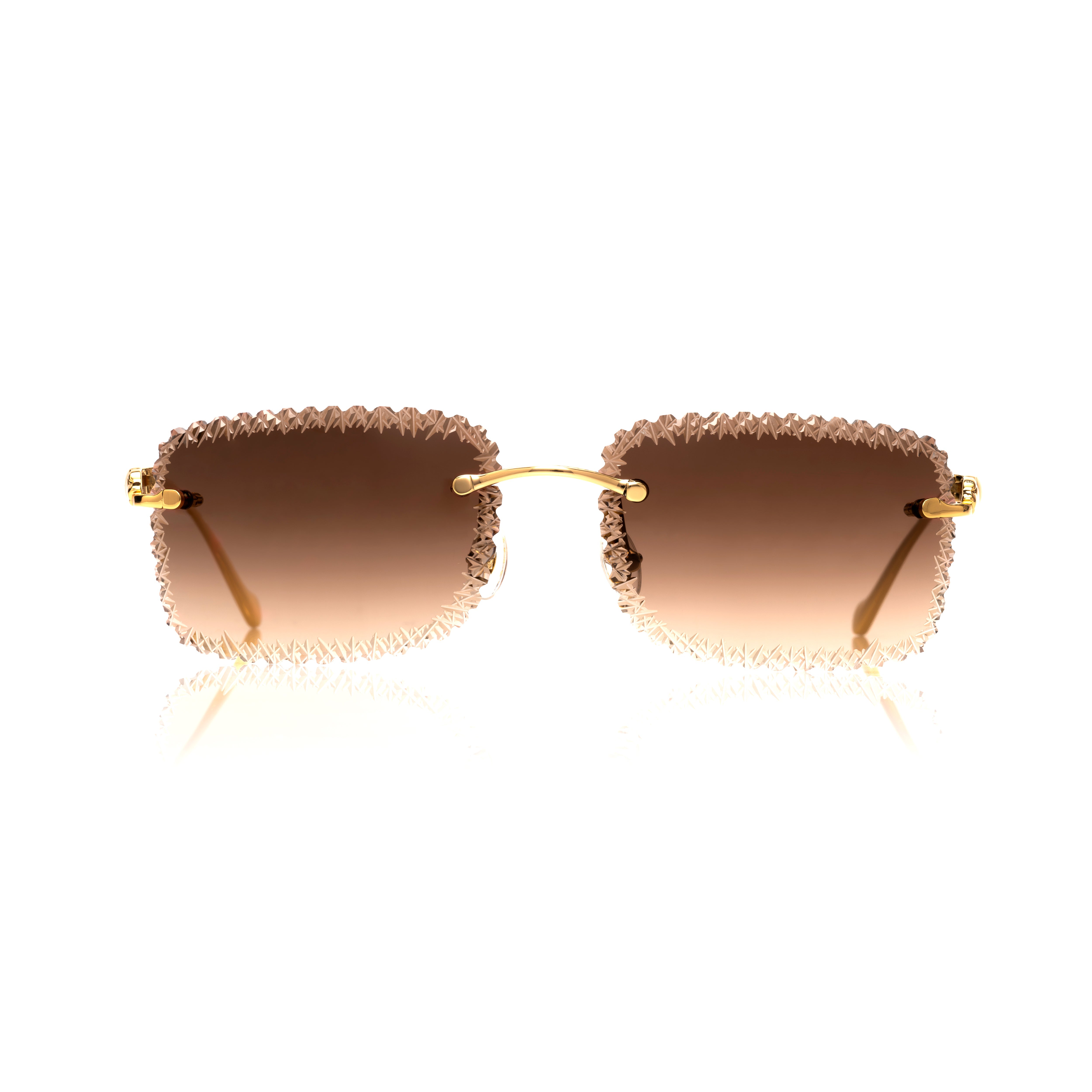 Vision Optik