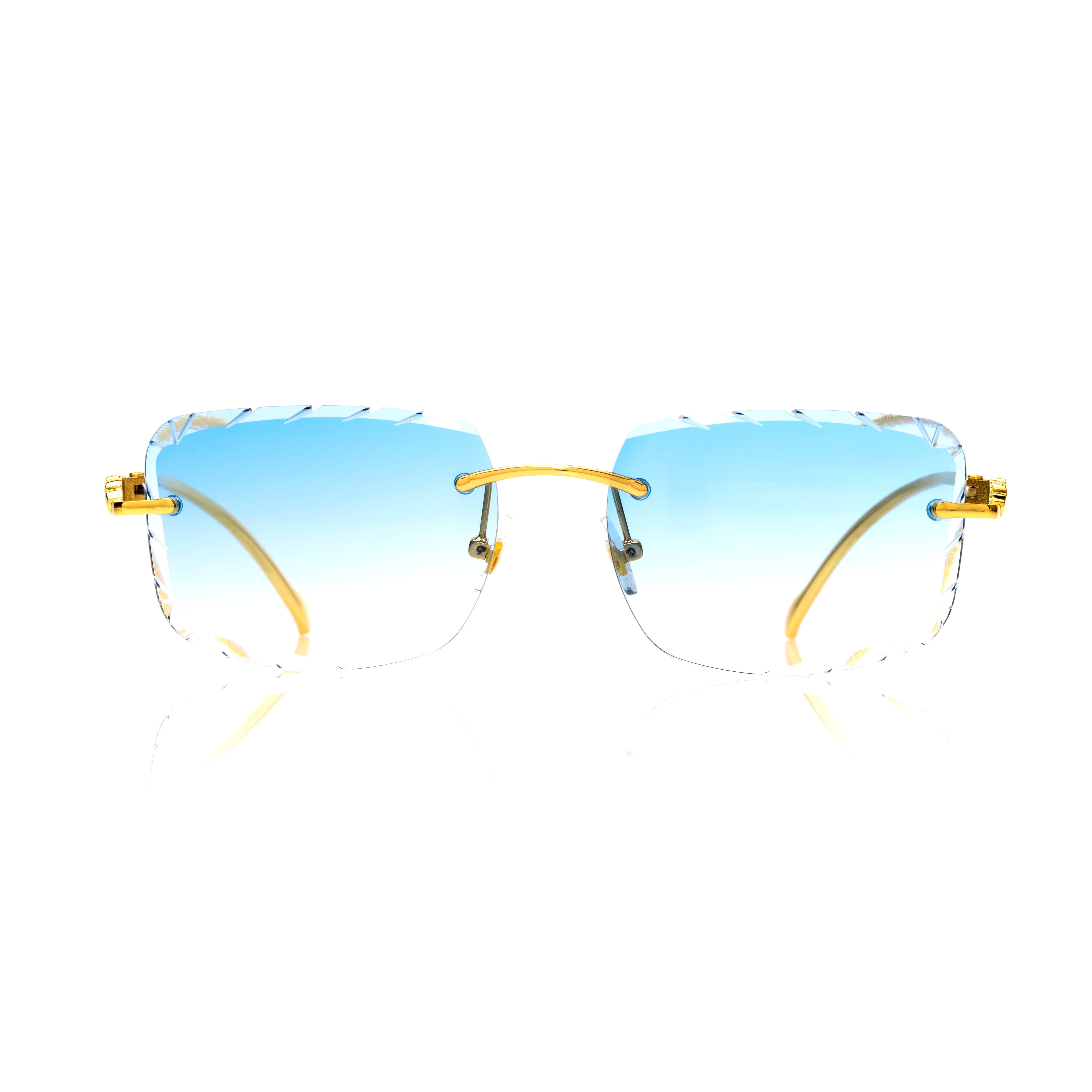 Vision Optik
