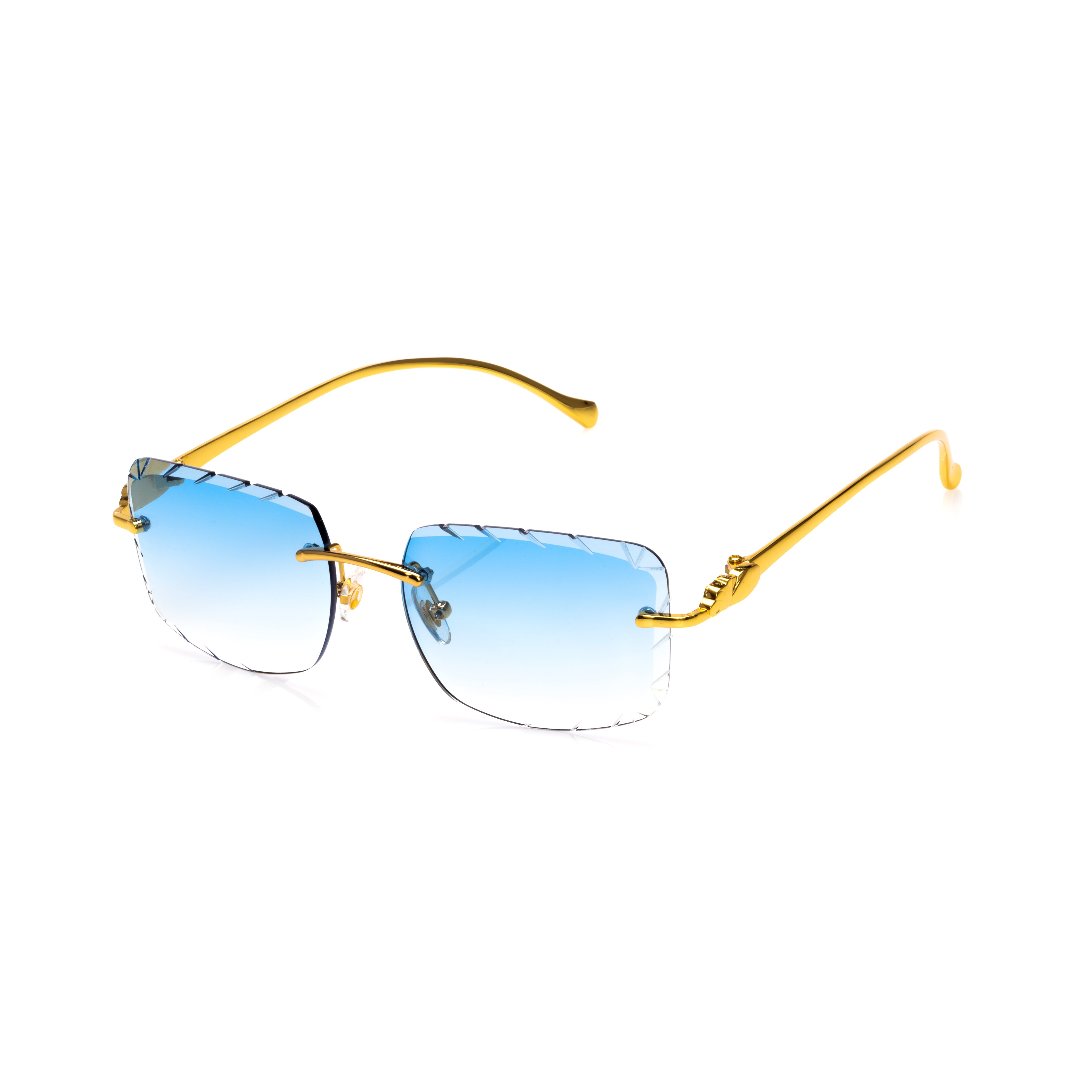 Vision Optik