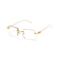 Vision Optik