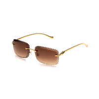 Vision Optik