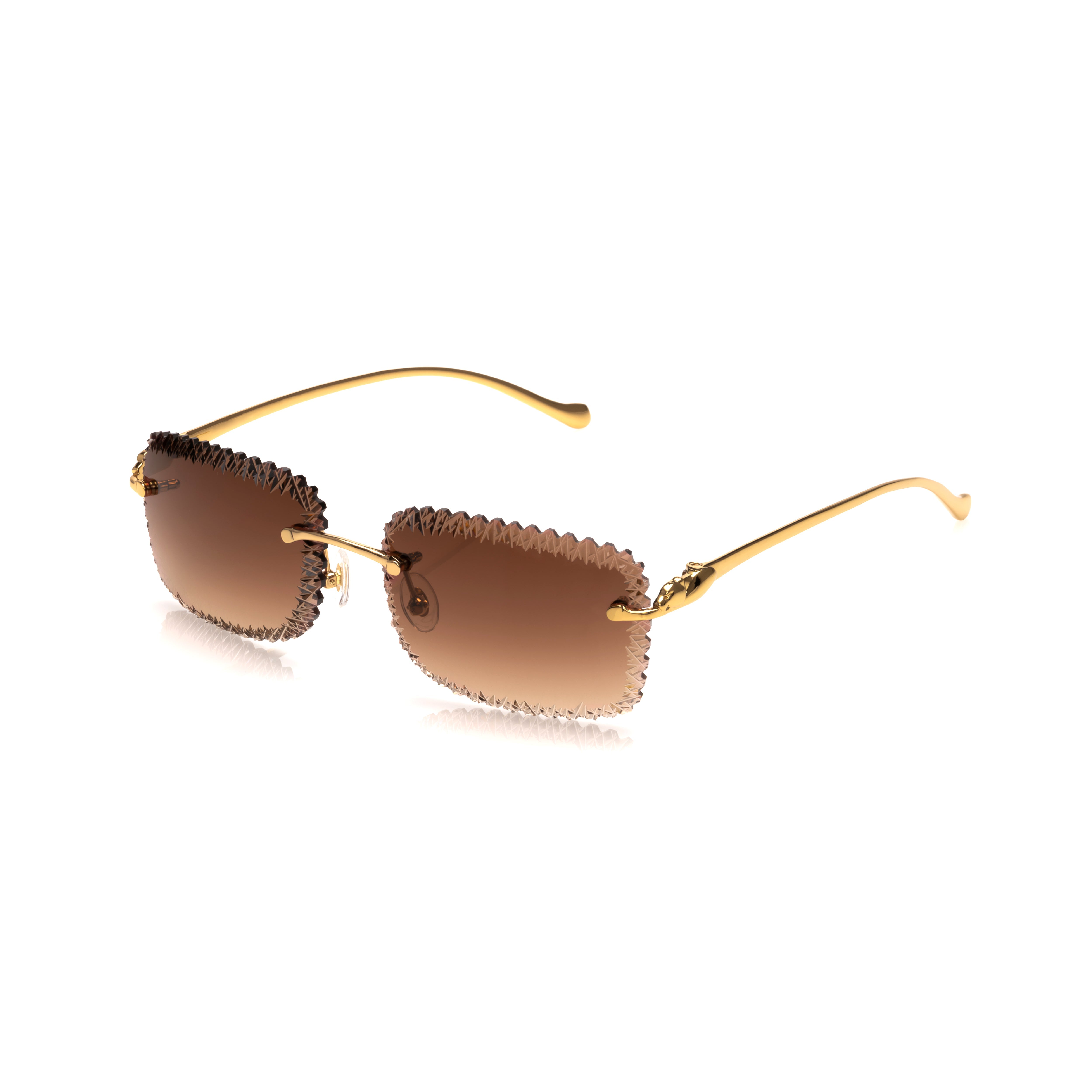 Vision Optik