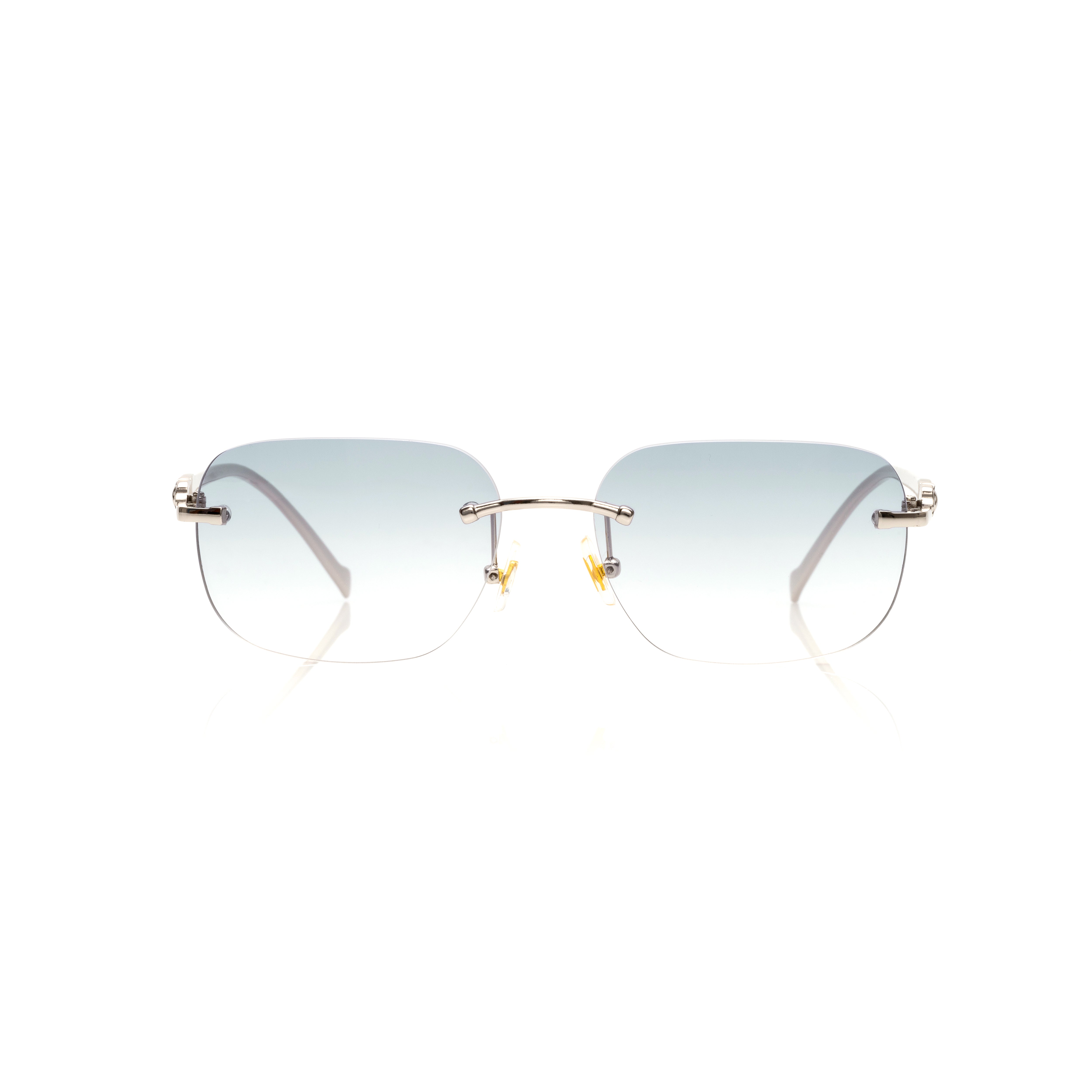 Vision Optik