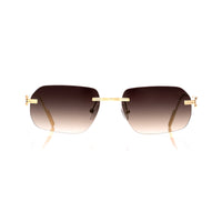 Vision Optik
