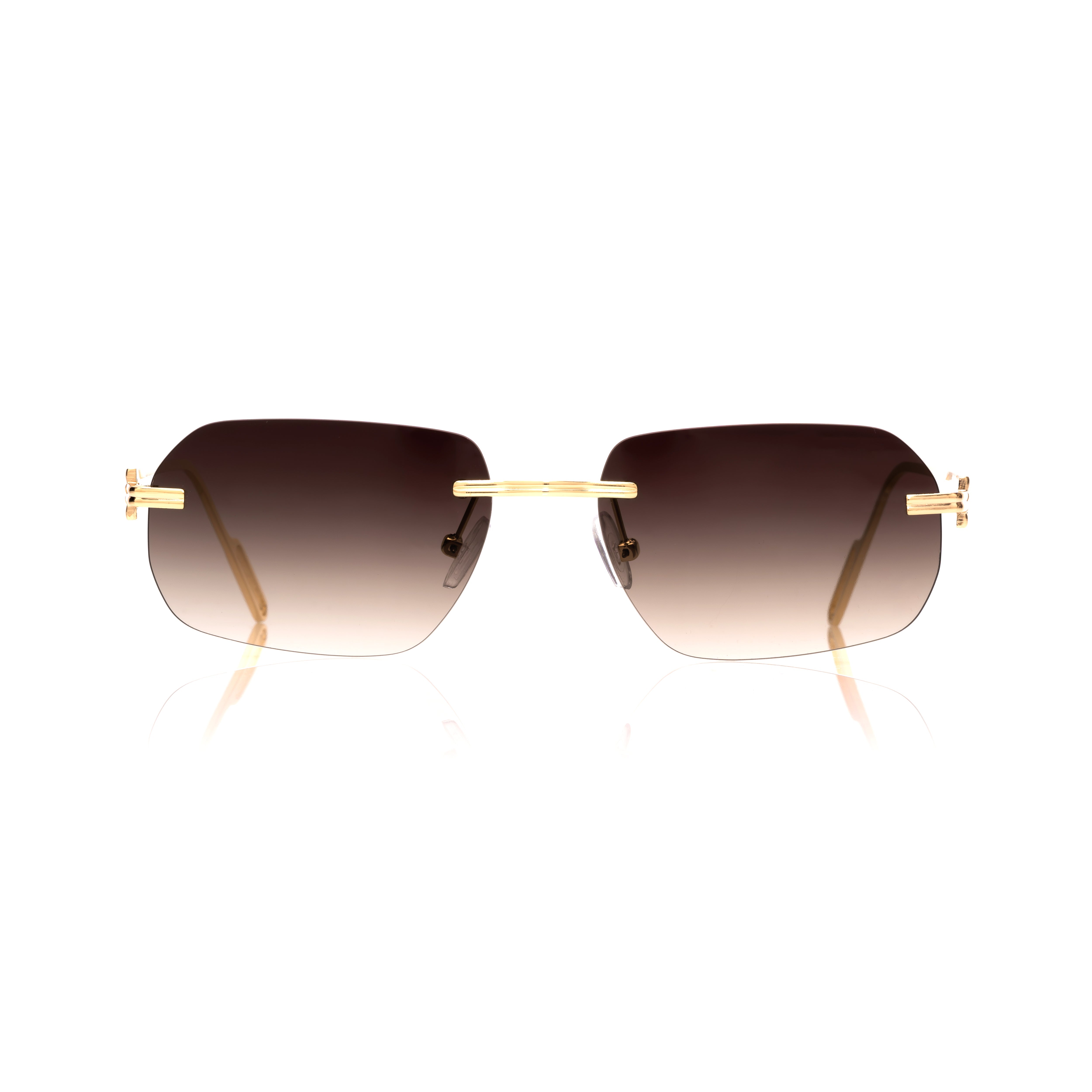 Vision Optik