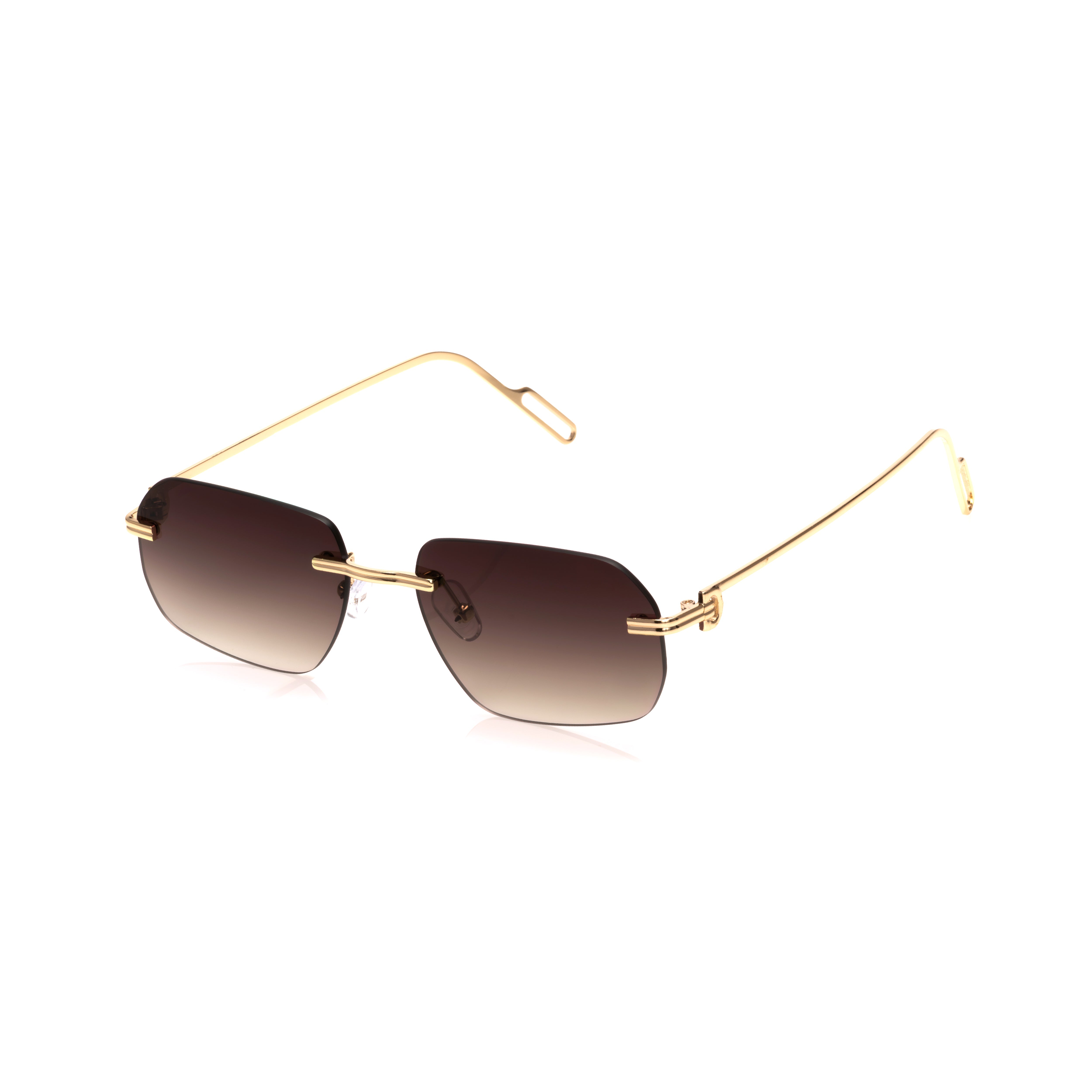 Vision Optik