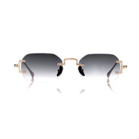 Vision Optik