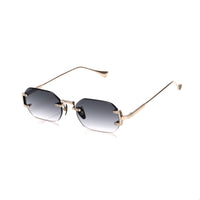Vision Optik