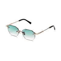 Vision Optik