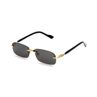 Vision Optik
