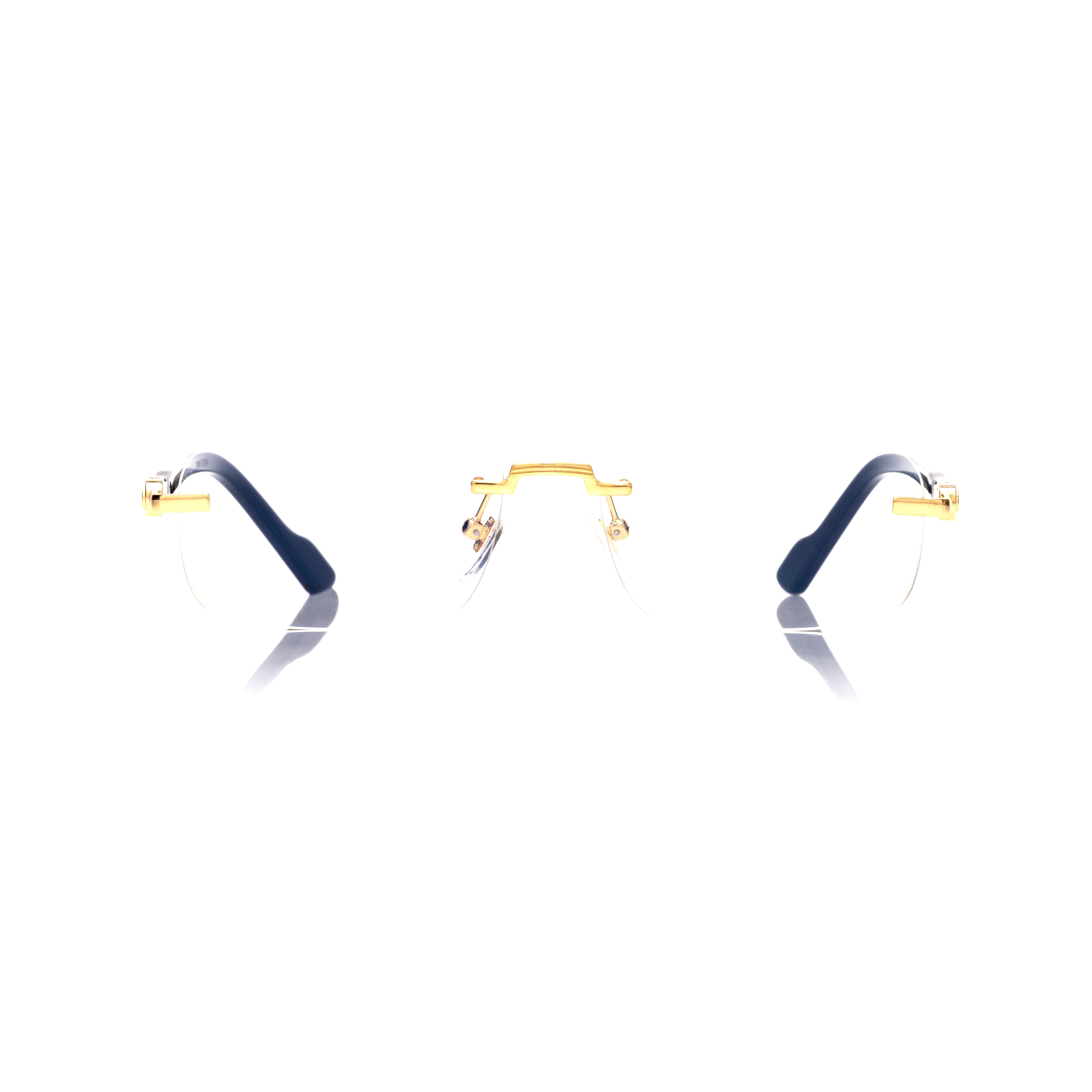 Vision Optik