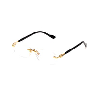 Vision Optik