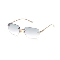 Vision Optik
