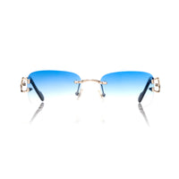 Vision Optik