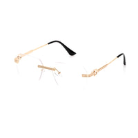 Vision Optik