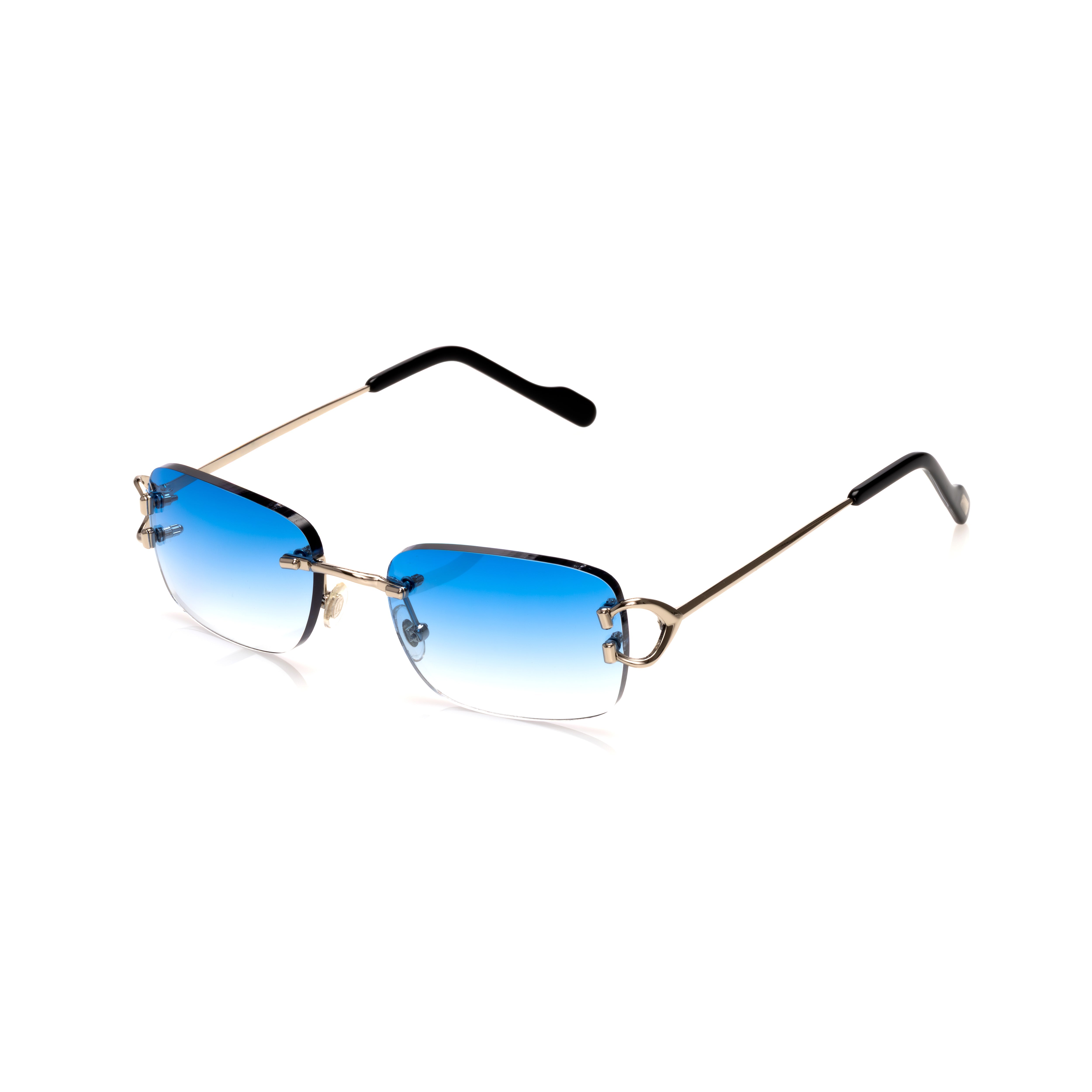 Vision Optik