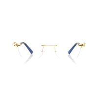 Vision Optik