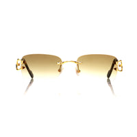 Vision Optik