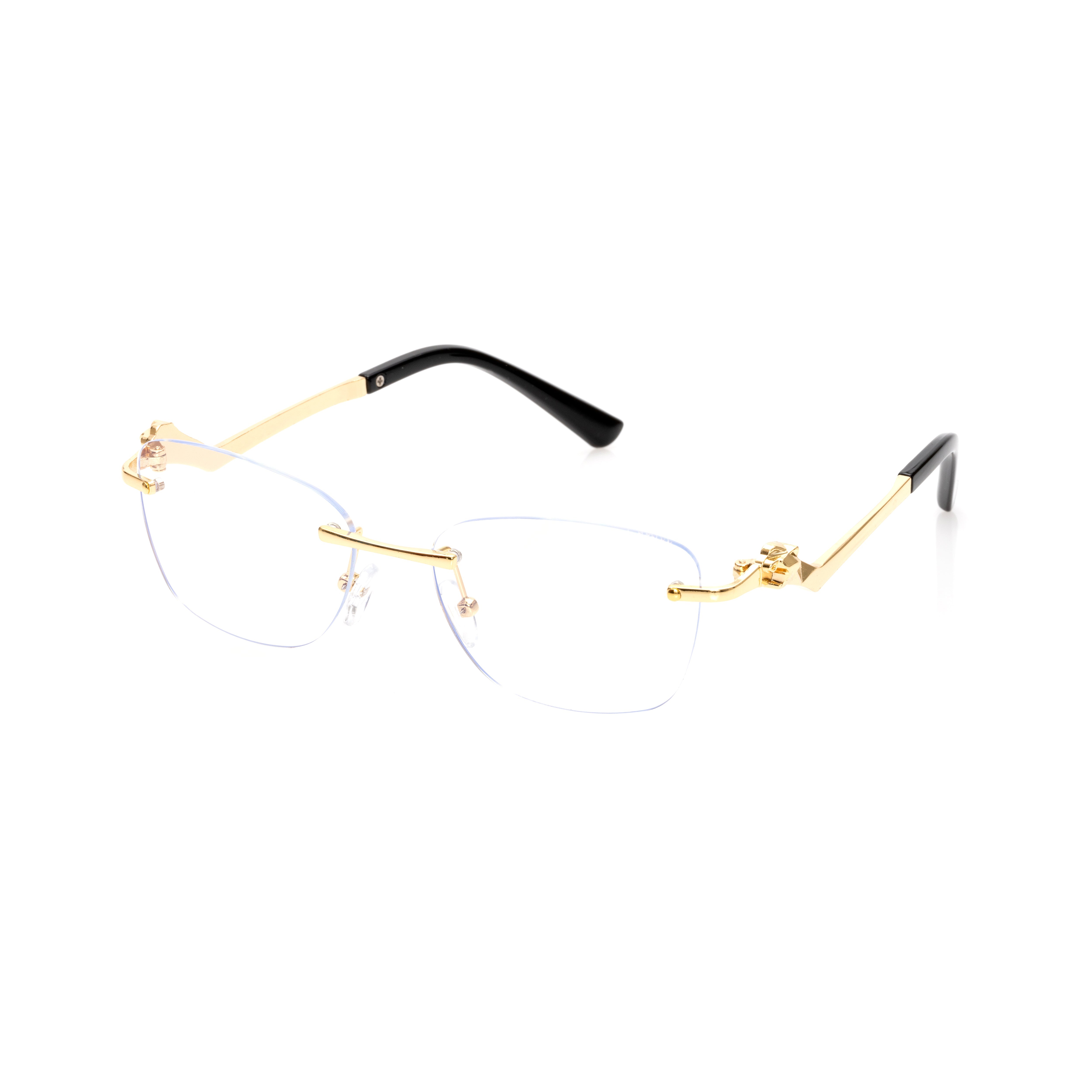 Vision Optik