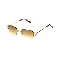 Vision Optik