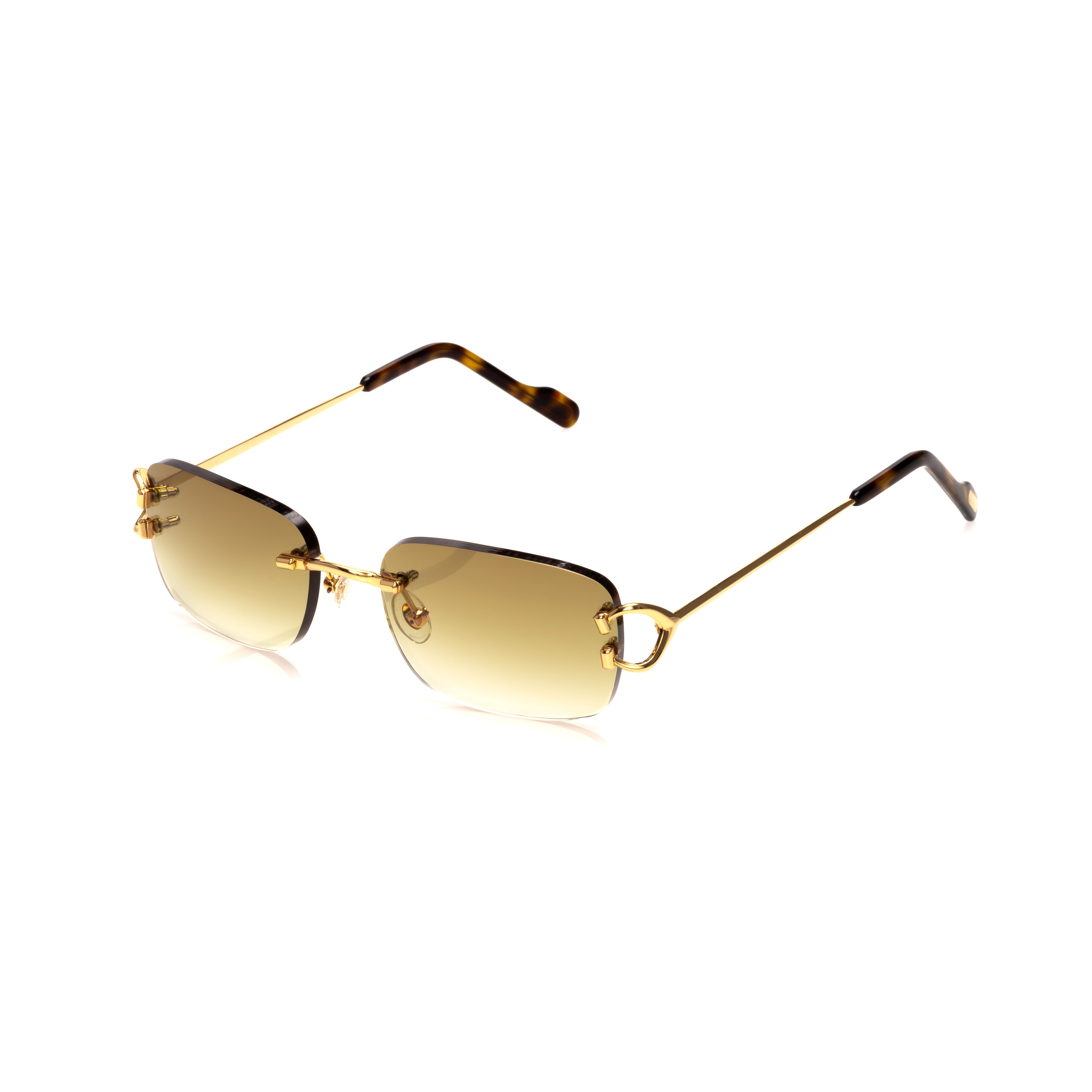 Vision Optik