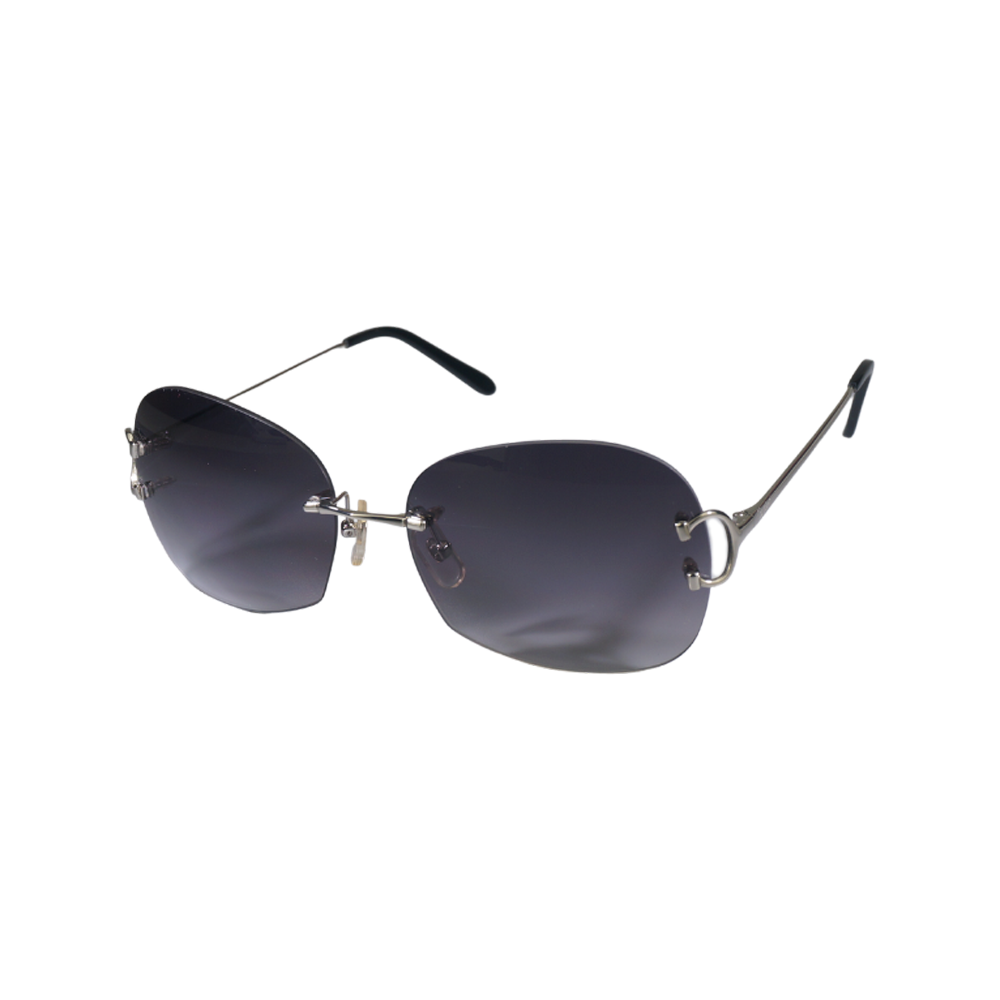 Vision Optik