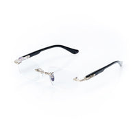 Vision Optik