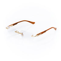 Vision Optik
