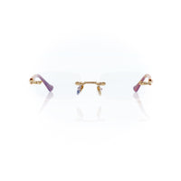 Vision Optik