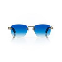 Vision Optik