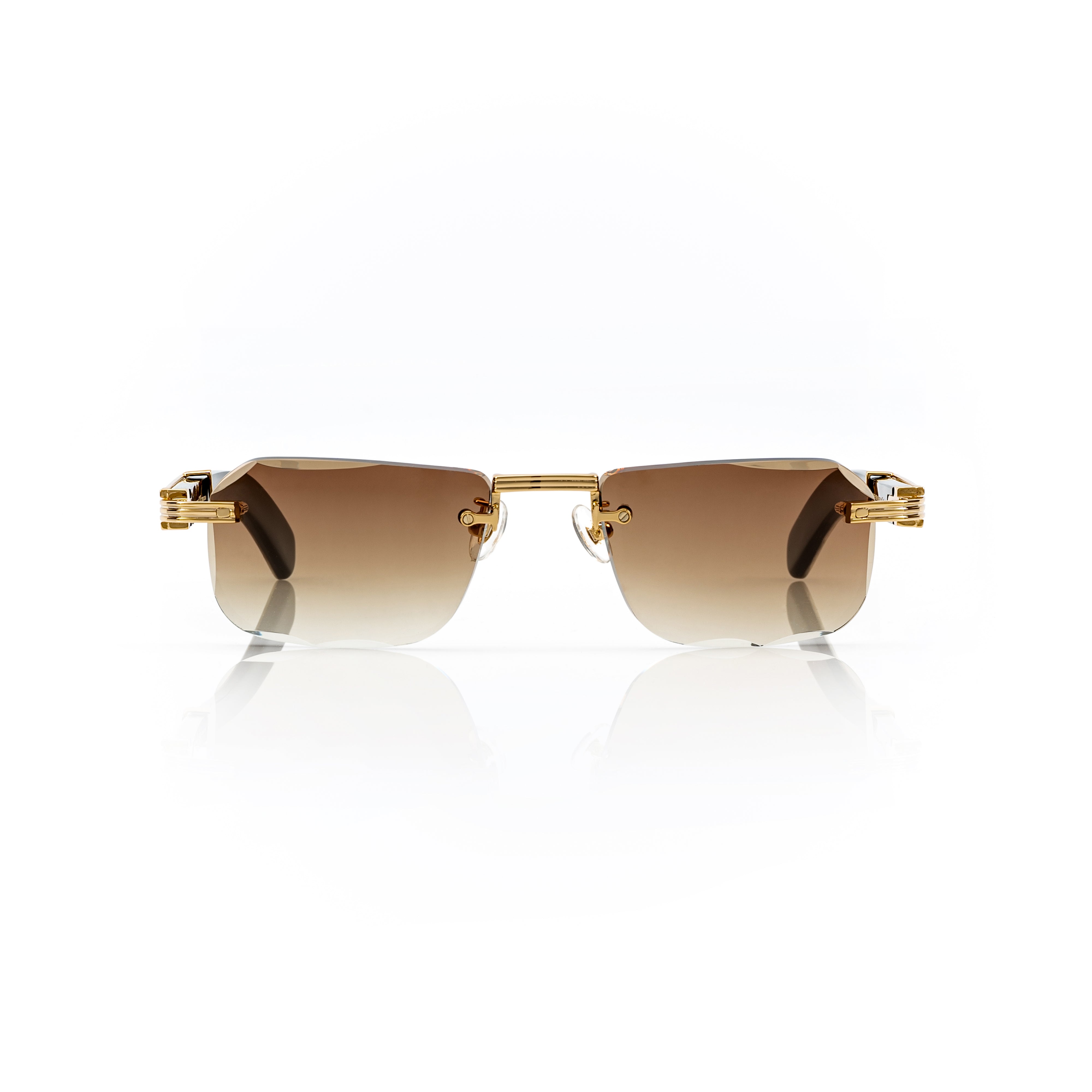Vision Optik