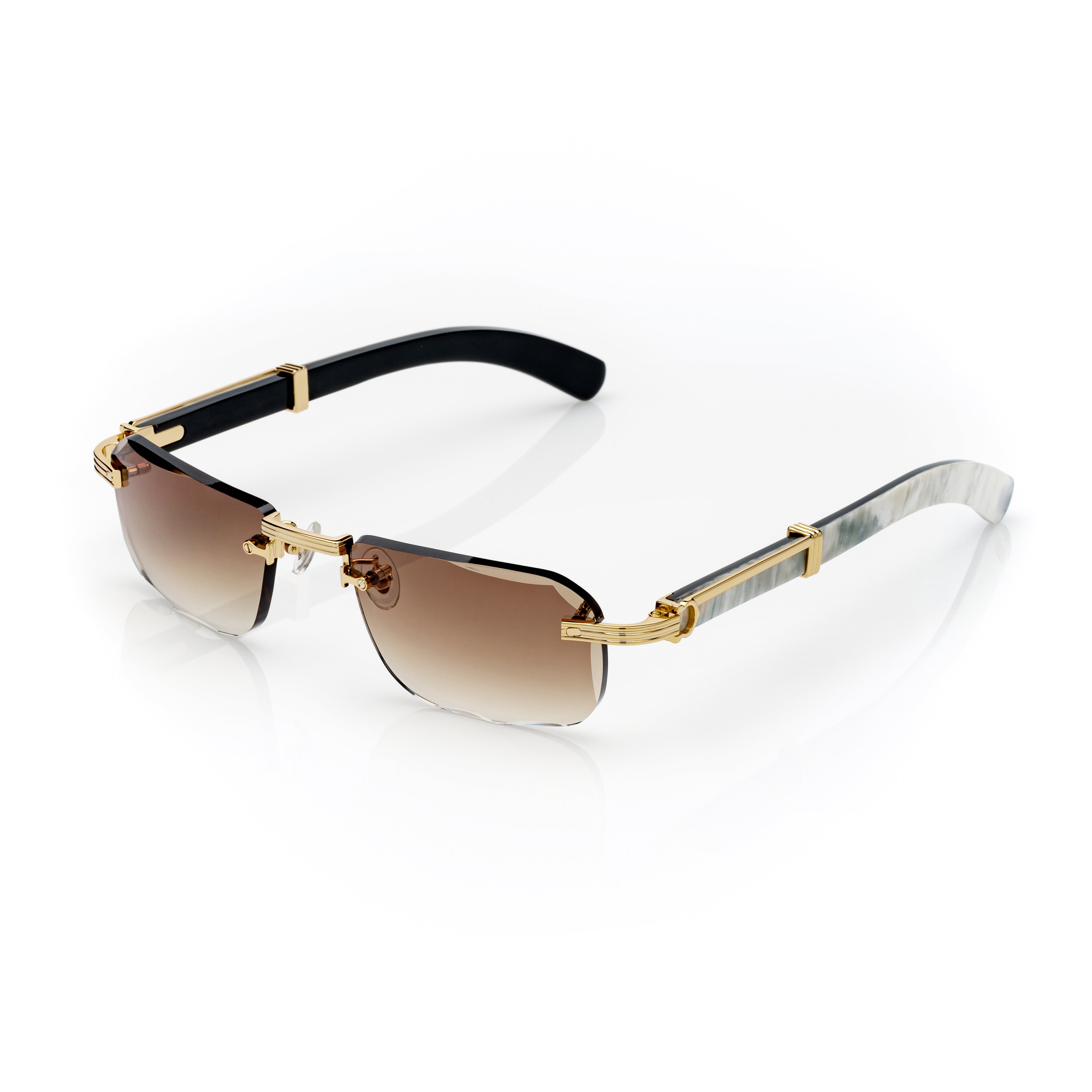 Vision Optik