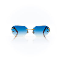 Vision Optik