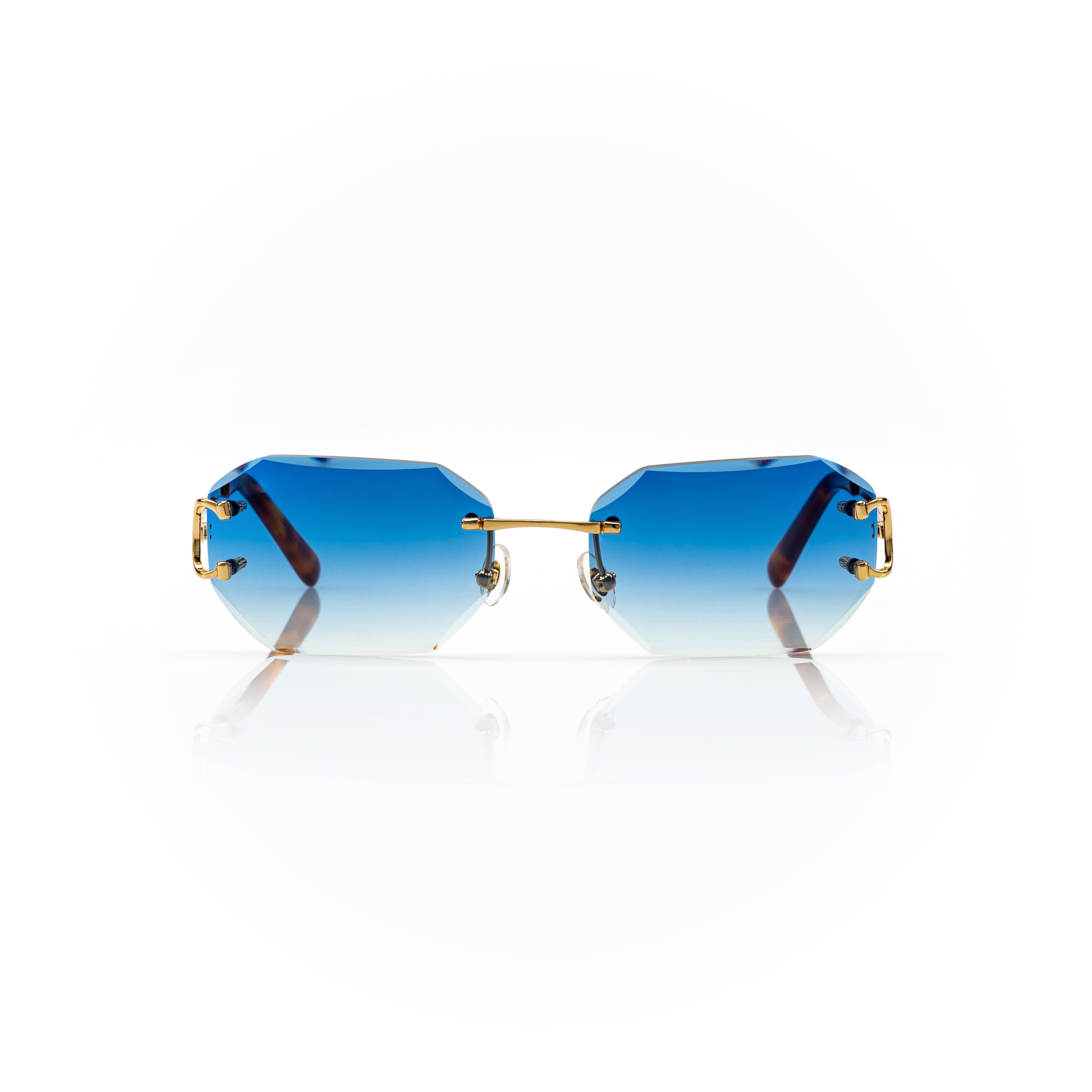 Vision Optik