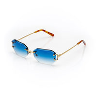 Vision Optik