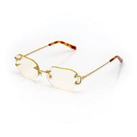 Vision Optik
