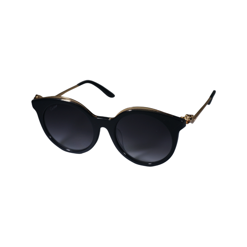 Vision Optik