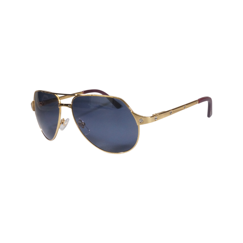 Vision Optik
