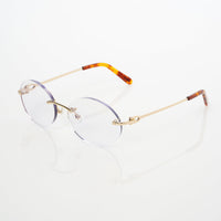 Vision Optik