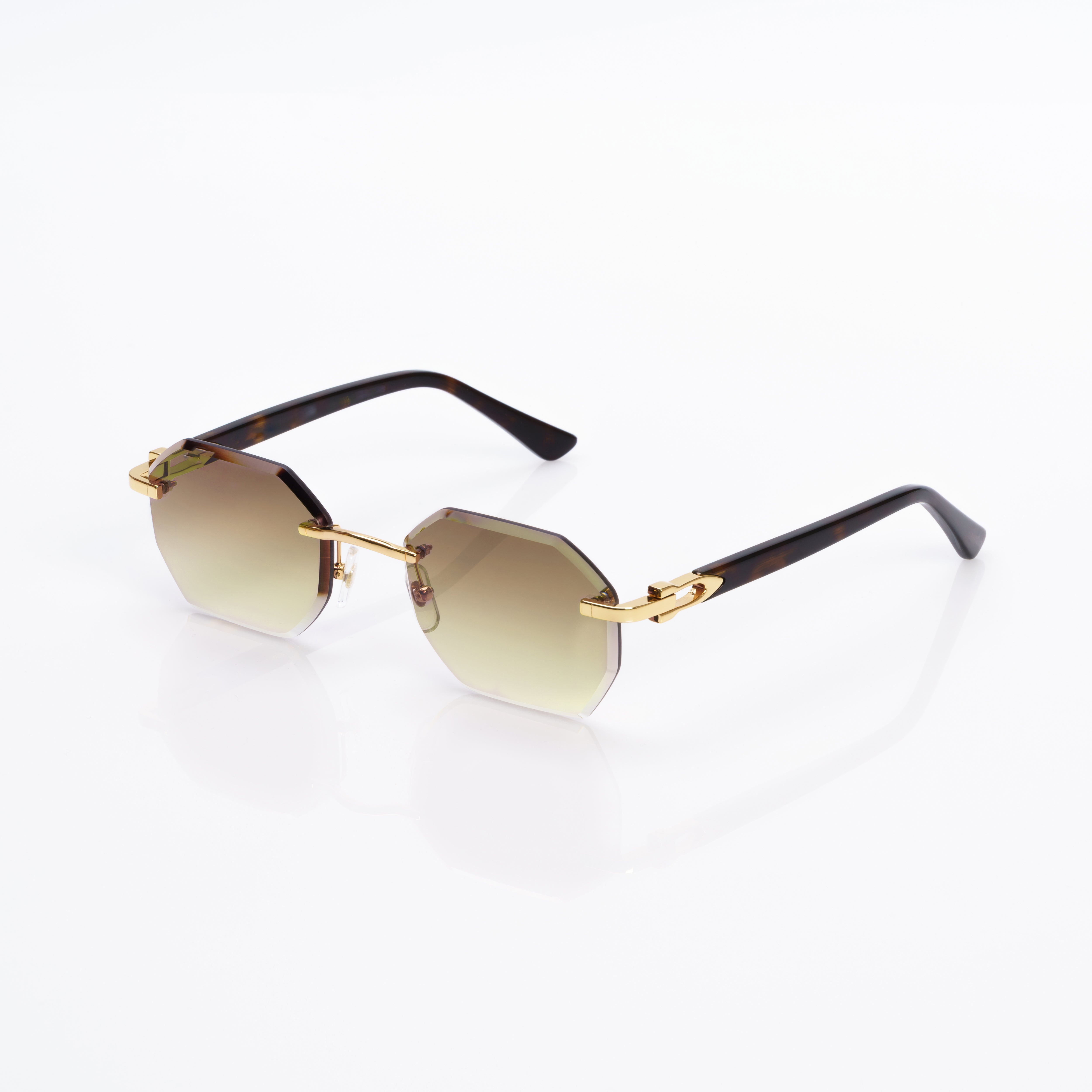 Vision Optik