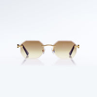 Vision Optik