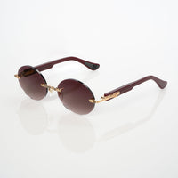 Vision Optik