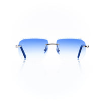 Vision Optik