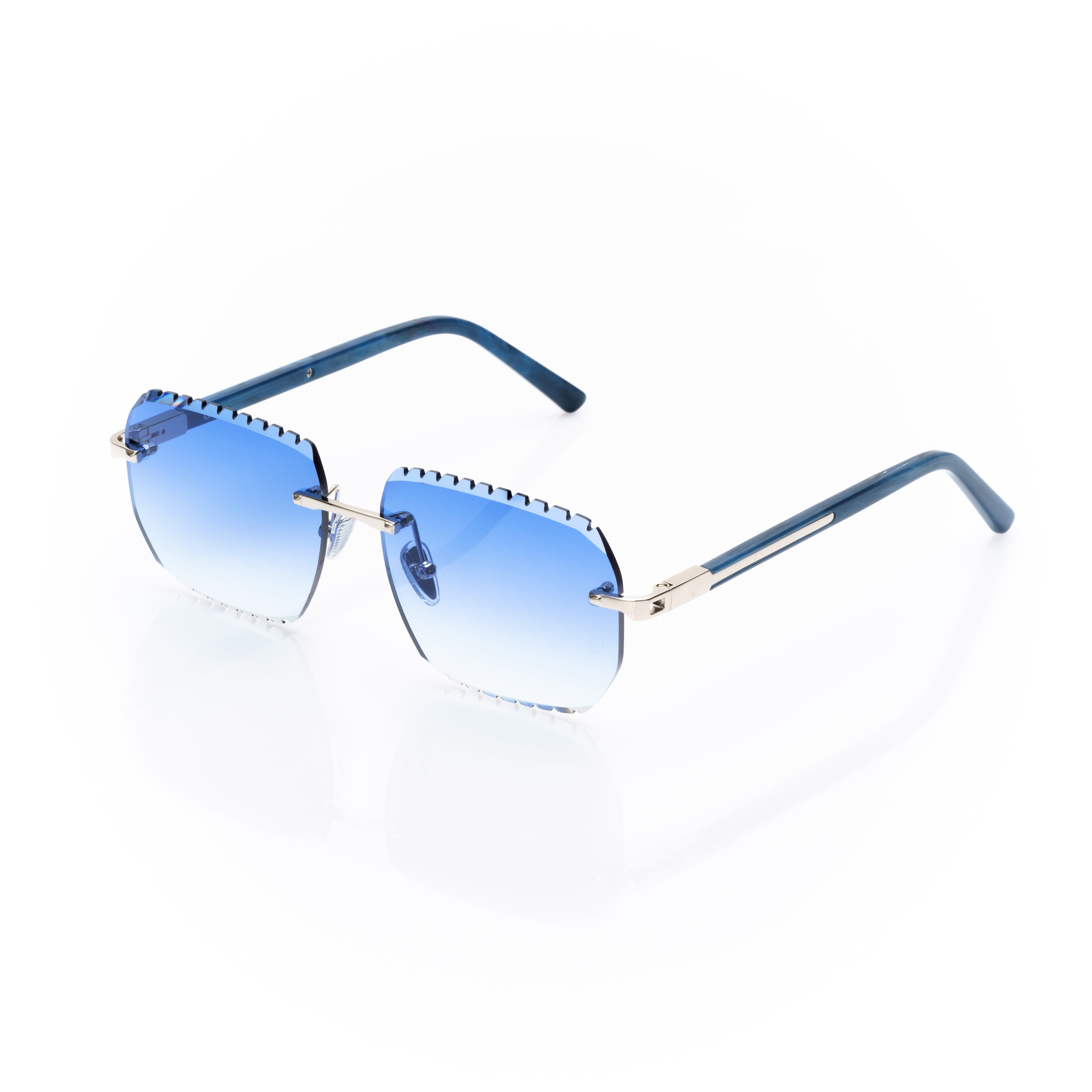 Vision Optik
