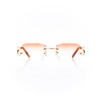 Vision Optik